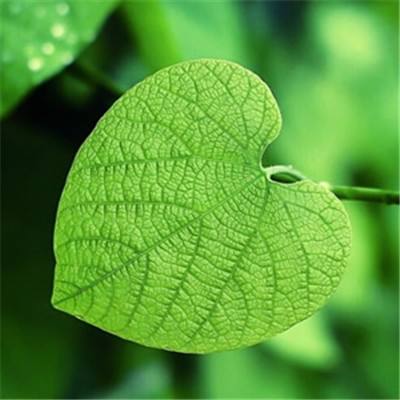 pg电子娱乐平台